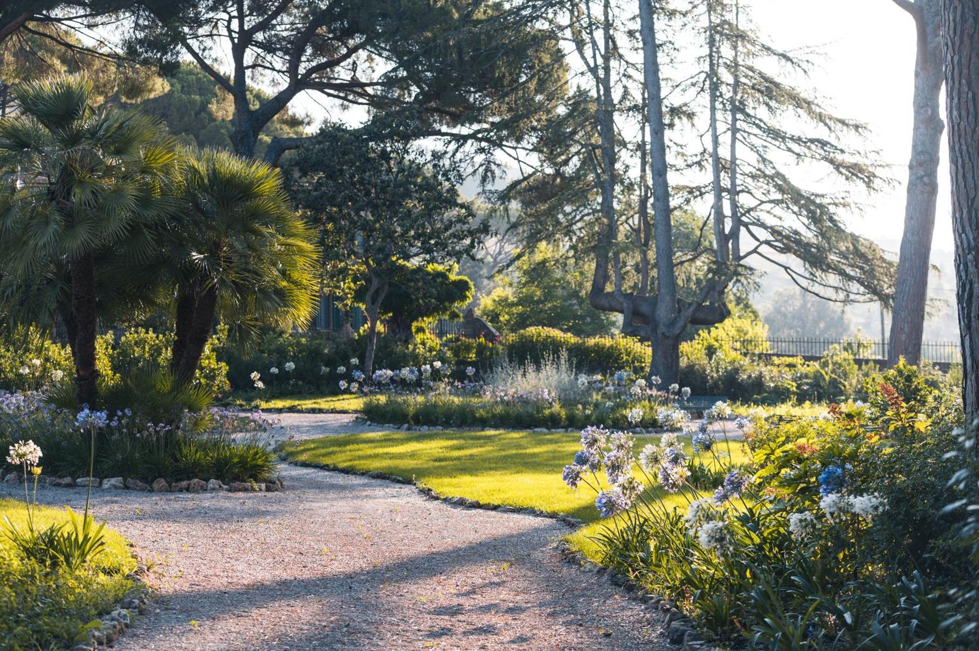 Tenuta Il Cicalino ماسا ماريتيما المظهر الخارجي الصورة