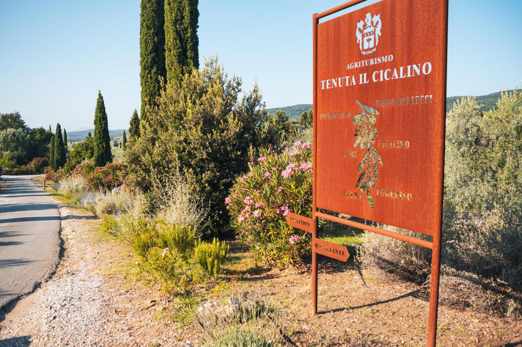 Tenuta Il Cicalino ماسا ماريتيما المظهر الخارجي الصورة