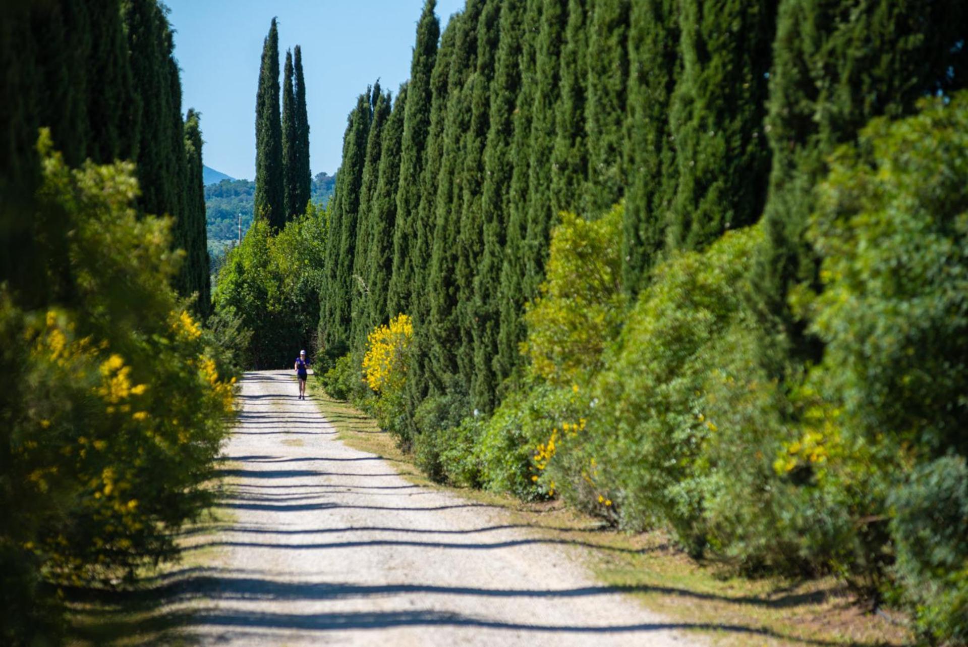 Tenuta Il Cicalino ماسا ماريتيما المظهر الخارجي الصورة